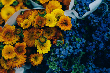Yellow and blue flowers