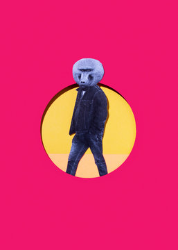 Baboon man
