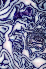 Sliced Red Cabbage Close Up on White Background