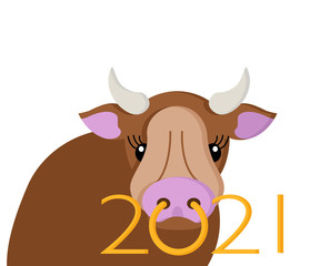 A bull with a nose ring is a symbol of 2021. New Year on the Chinese calendar.