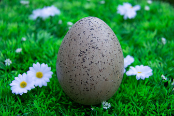 Easter egg and green grass with white flowers