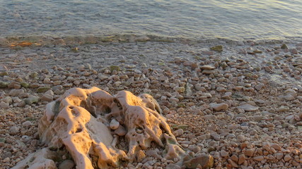 Stone in front of sea (Adria Croatia dalmatia)
