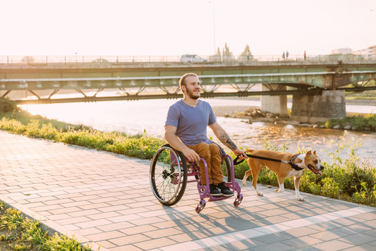 Happy young man in wheelchair enjoying his daily routine with his dog