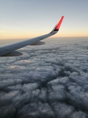 wing of an airplane