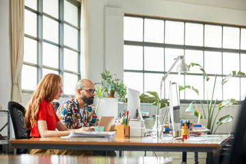 Architects working on a project