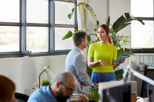 Architects talking by the window