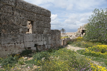 Le fort de Kelibia