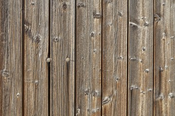 Fototapeta premium wood background