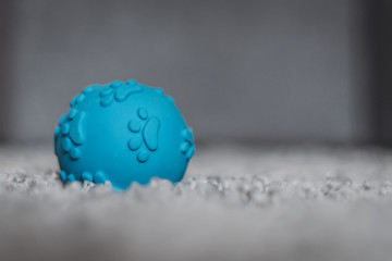 Ball for playing with dogs on a gray carpet