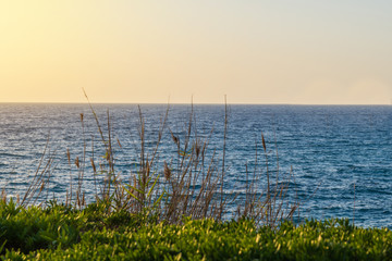 Cyprus coastline. Calming mediterranean seascape at sunset with grass in front and cloudless sky as a background.