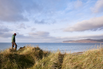 Naklejka premium Dog walking at sunrise. Porth Neigwl (Hells Mouth) Beach, Wales, UK.