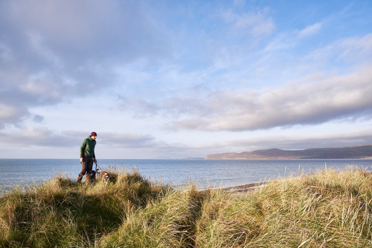 Dog walking at sunrise. Porth Neigwl (Hells Mouth) Beach, Wales, UK.