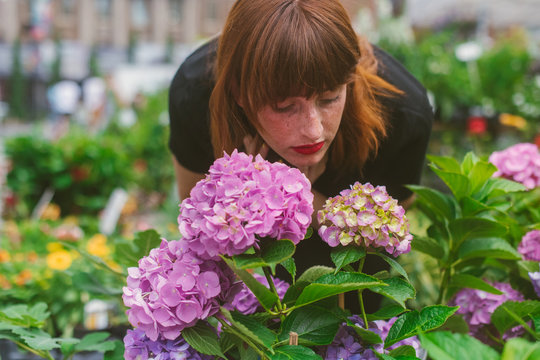 Looking at flowers in farmer's market