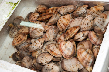 Wet market in Hong Kong city, selling seafood, live very fresh seafood.