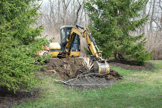 Backhoe Digging out Tree Stump 