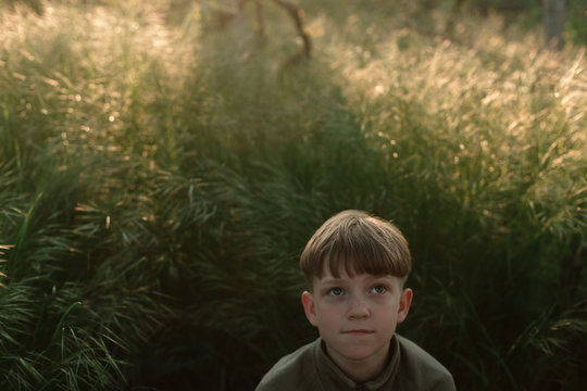 Little boy in the garden during sunset