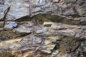 Nature Abstract: Pattern Created by Cracks and Crevices in a Solid Rock Wall