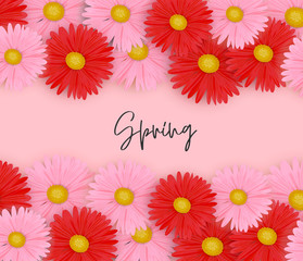Spring background with pink and red daisy flowers. Vector illustration.