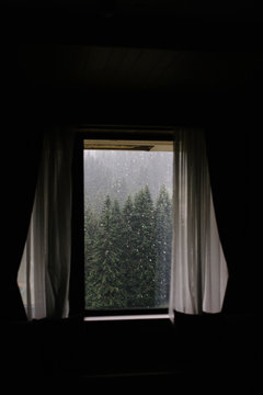 Fototapeta Dark room with forest view