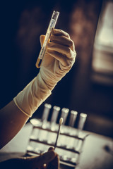 Hand holding a coronavirus COVID-19 test tube