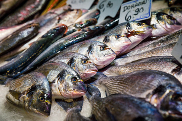Fresh fishes on ice in the fishmarket in Barcelona
