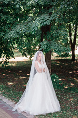 Beautiful bride in white wedding dress and veil standing in park