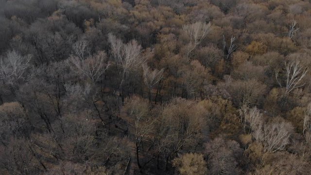City park aerial view trees without leaves lake high rise buildings tilt camera movement Kyiv Ukraine