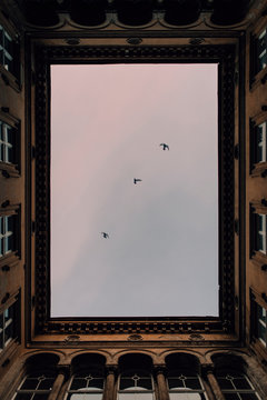 Framed sky