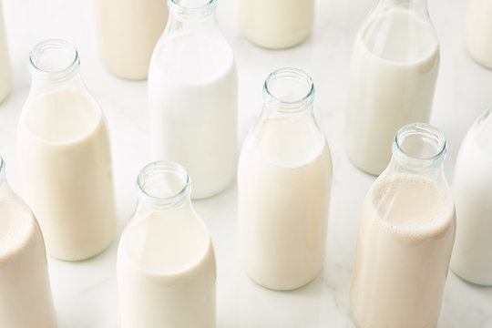 Bottles of various plant milk