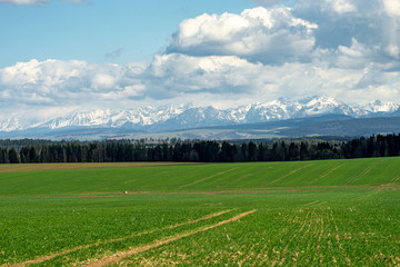 Beautiful view of the Tatra mountains. Mountains in the background, meadows and forests in the foreground