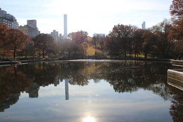 City and Nature reflection at New York City's Central Park lake