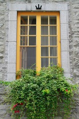 Fototapeta na wymiar Yellow window with a window box in Old Town Quebec City. 