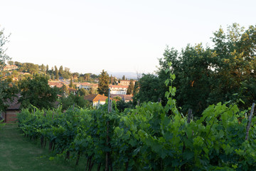 Fototapeta na wymiar view of the village Tuscany Italy