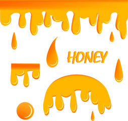 Dripping honey. Liquid golden oil or sauce food drops caramel splash and flowing vector realistic template.Graphic concept for your 