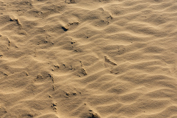  Abstract texture on the sand of a beach. The sand is lit by the sun.