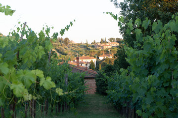 Naklejka premium view of the village Tuscany Italy