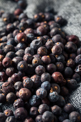 Raw Purple Organic Juniper Berries