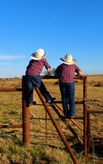 Two Little Cowboys On a Rail Fence Checking Out the Pasture in South Central Oklahoma