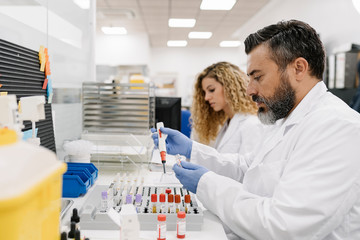 Scientists working at laboratory