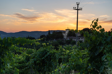 Tuscany vineyards sunset