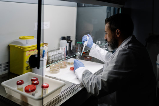 Biologist working in a laboratory