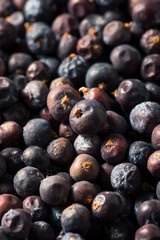 Raw Purple Organic Juniper Berries