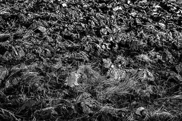 Arable land in the countryside. Farmland landscape. View of agricultural land prepared for sowing. Soil recently plowed for the new season.