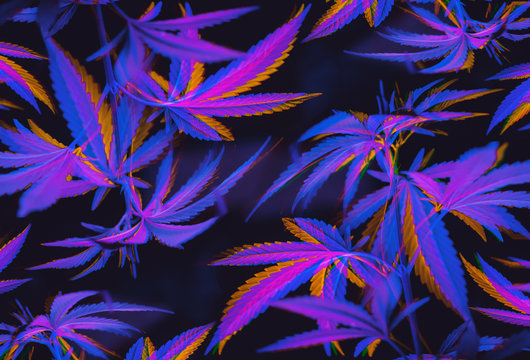 Colorful, vibrant and funky, abstract glitch cannabis/marijuana background