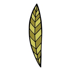Long leaf field plant icon. Hand drawn illustration of long leaf field plant vector icon for web design
