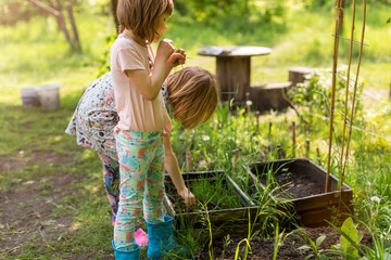 Two little girls gardening in urban community garden