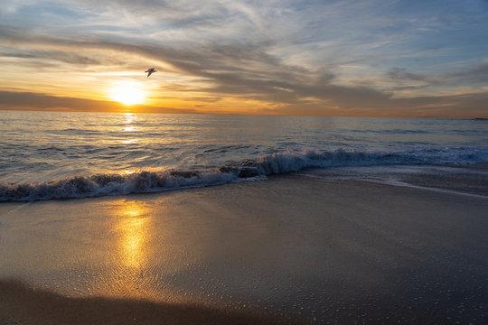 Aliso Beach © Isaac Gindi