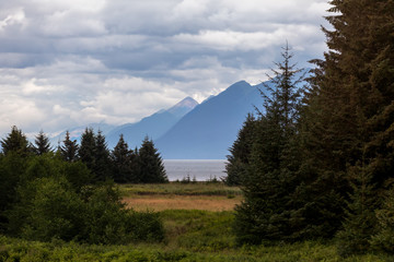 Beautiful forest landscape with mountains in the background near Icy Strait Point, Hoonah Alaska