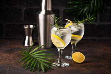 Gin tonic cocktail with lemon
