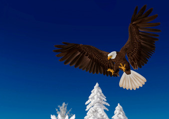 bald eagle in action on white snow_